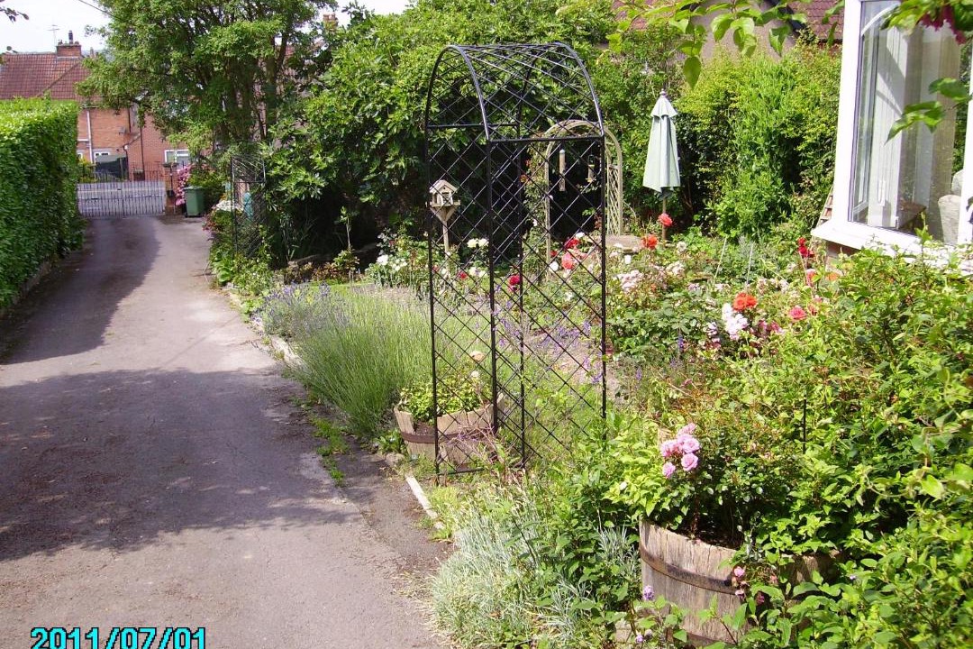 Photo of Others in Glastonbury