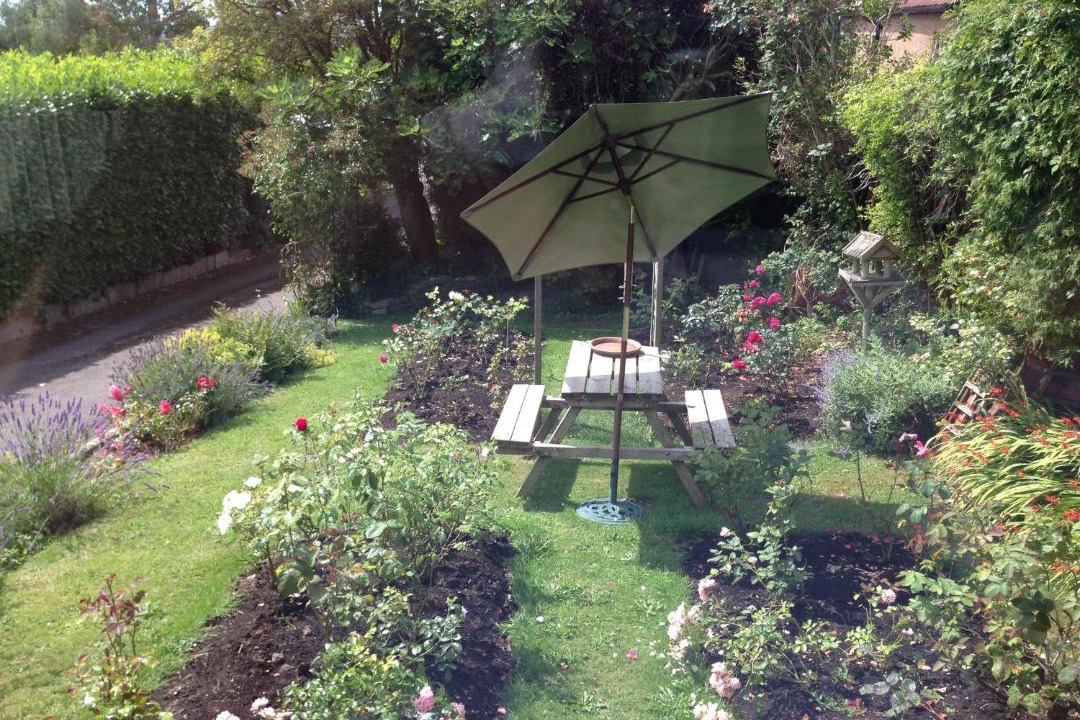 Photo of Others in Glastonbury