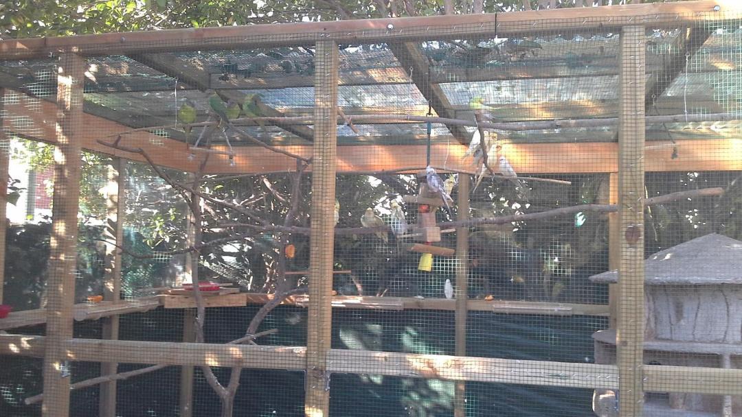 Photo of Buildings in Hyeres City Centre