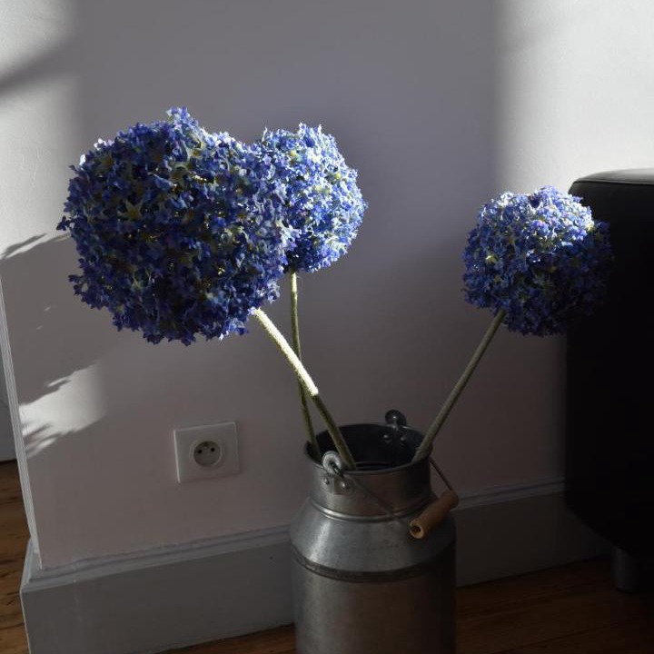 Photo of Others in Pont-en-Royans