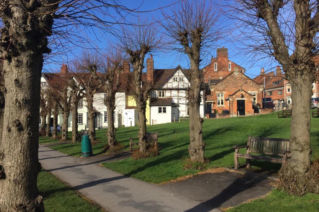 Photo of Buildings in Marlborough