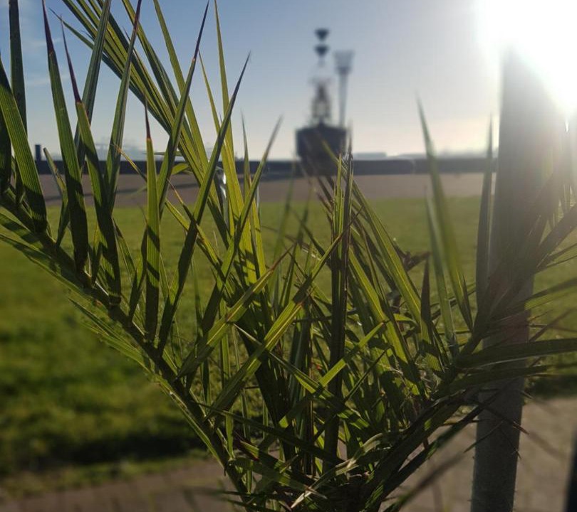 Photo of Outdoor in Martlesham Heath