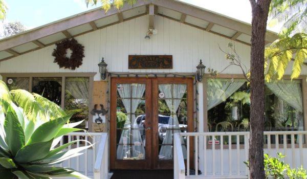 Photo of Others in Volcano