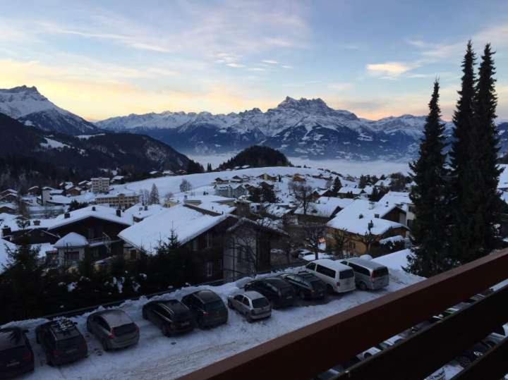 Photo of Others in Leysin