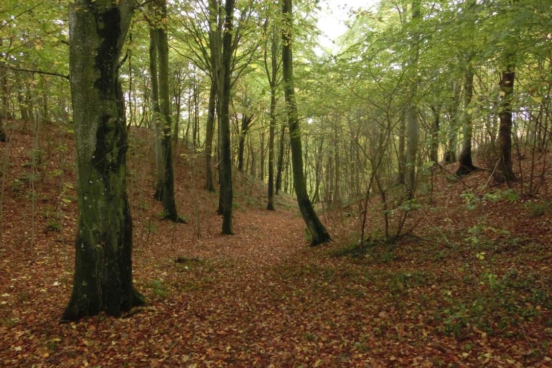 Photo of Others in Hobro