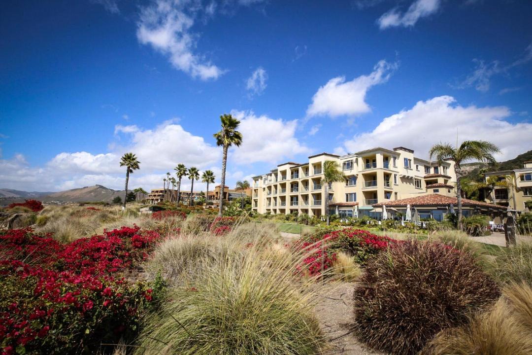 Photo of Others in Pismo Beach