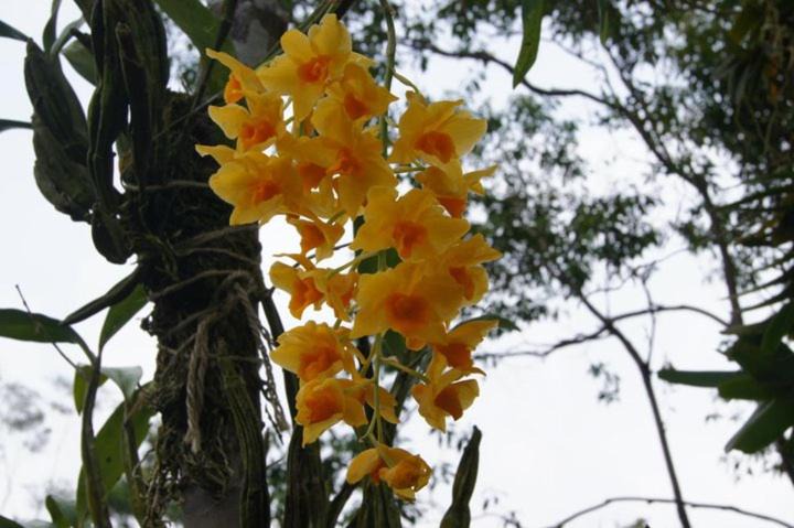 Photo of Outdoor in Gurun