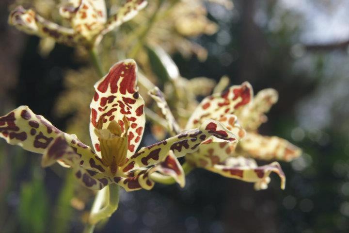 Photo of Outdoor in Gurun
