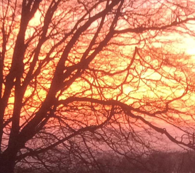 Photo of Others in Blagdon