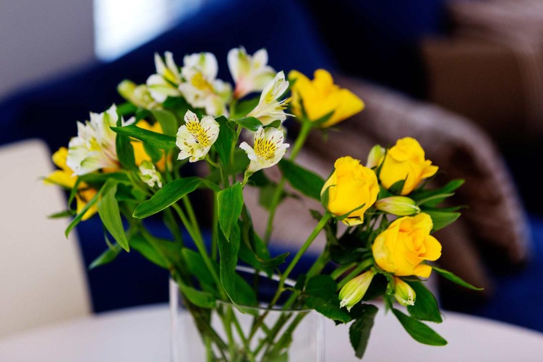 Photo of Others in Wandsworth