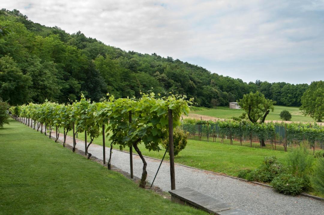 Photo of Others in Seseglio