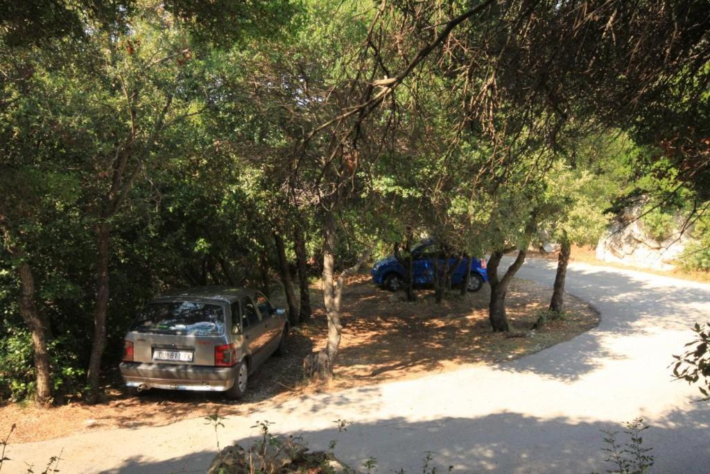 Photo of Others in Lastovo