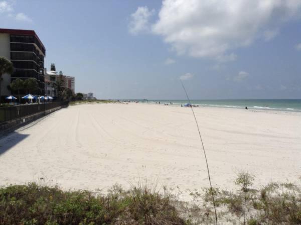 Photo of Others in Indian Shores