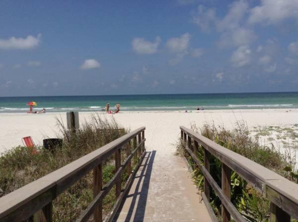 Photo of Others in Indian Shores