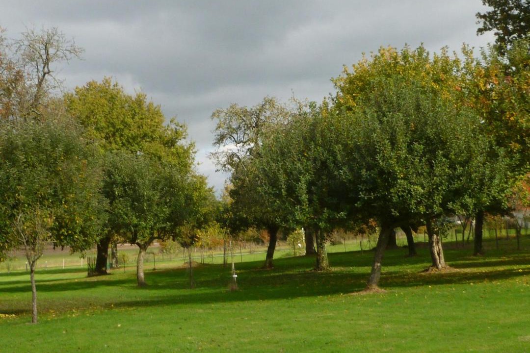 Photo of Others in Vicq-sur-Nahon