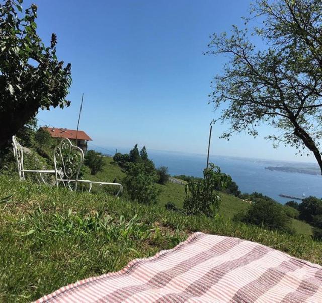 Photo of Others in Hondarribia