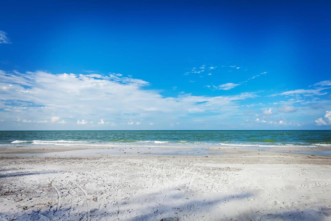Photo of Others in Indian Shores