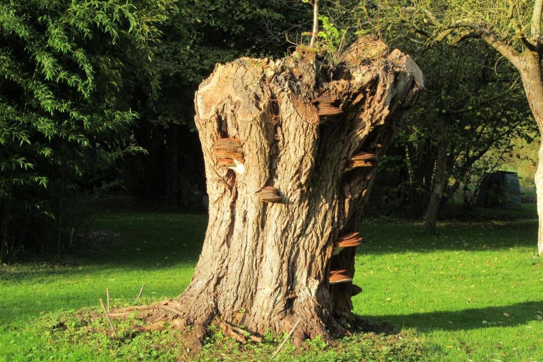 Photo of Others in Abbeville