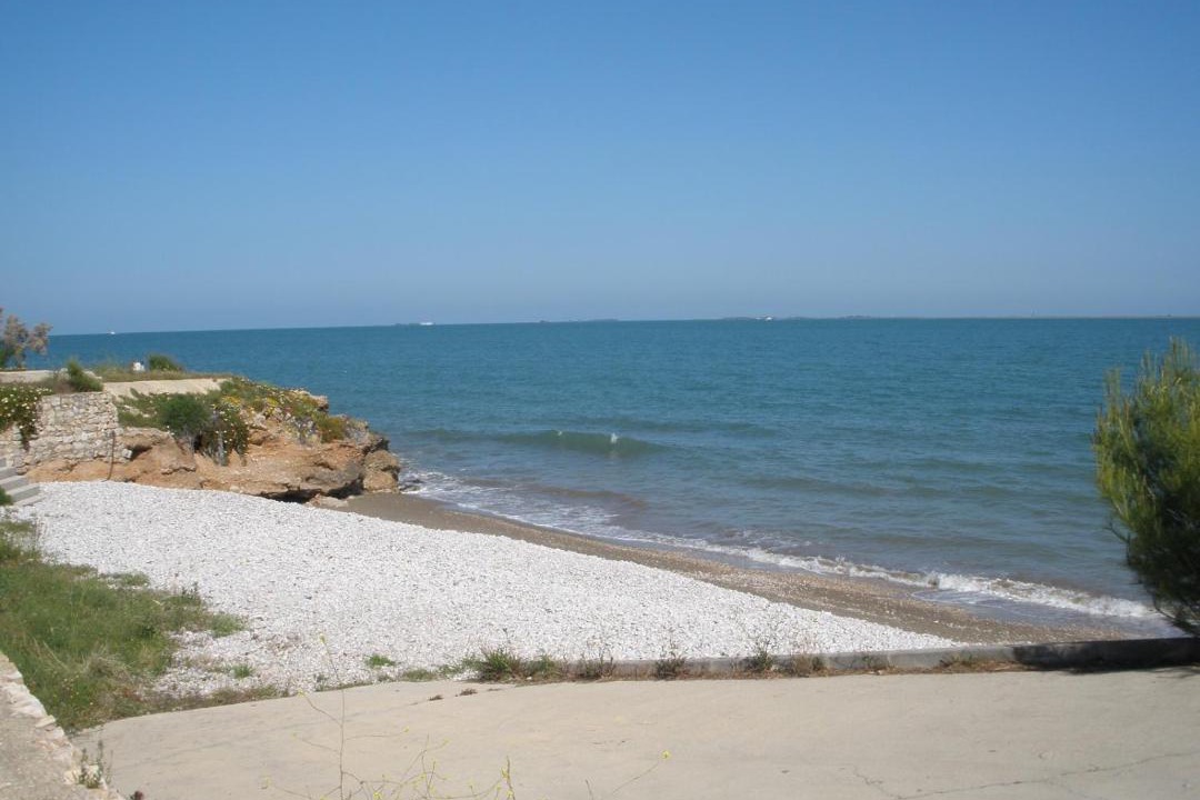 Photo of Others in Alcanar