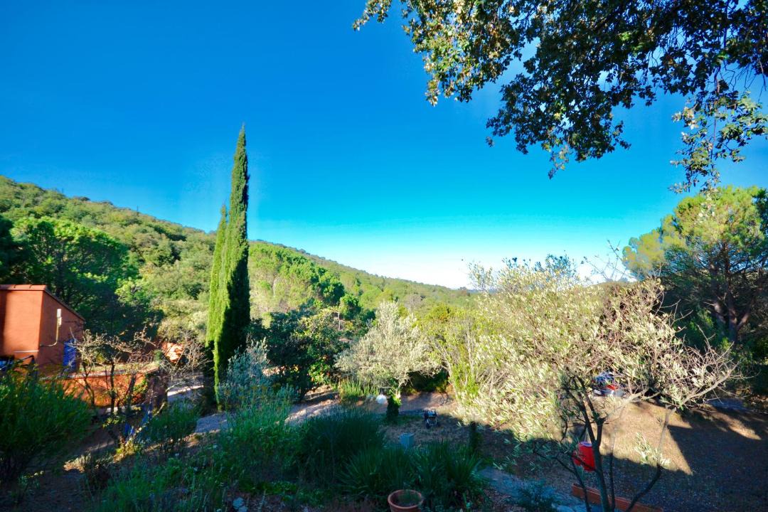 Photo of Others in Camelas