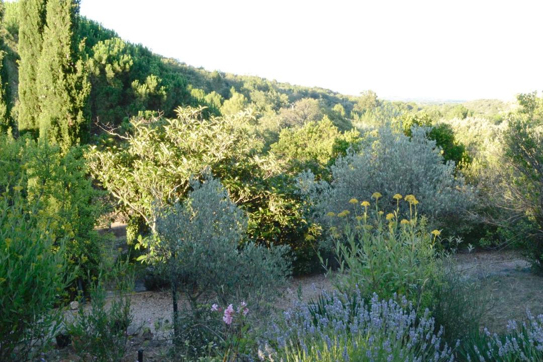 Photo of Others in Camelas