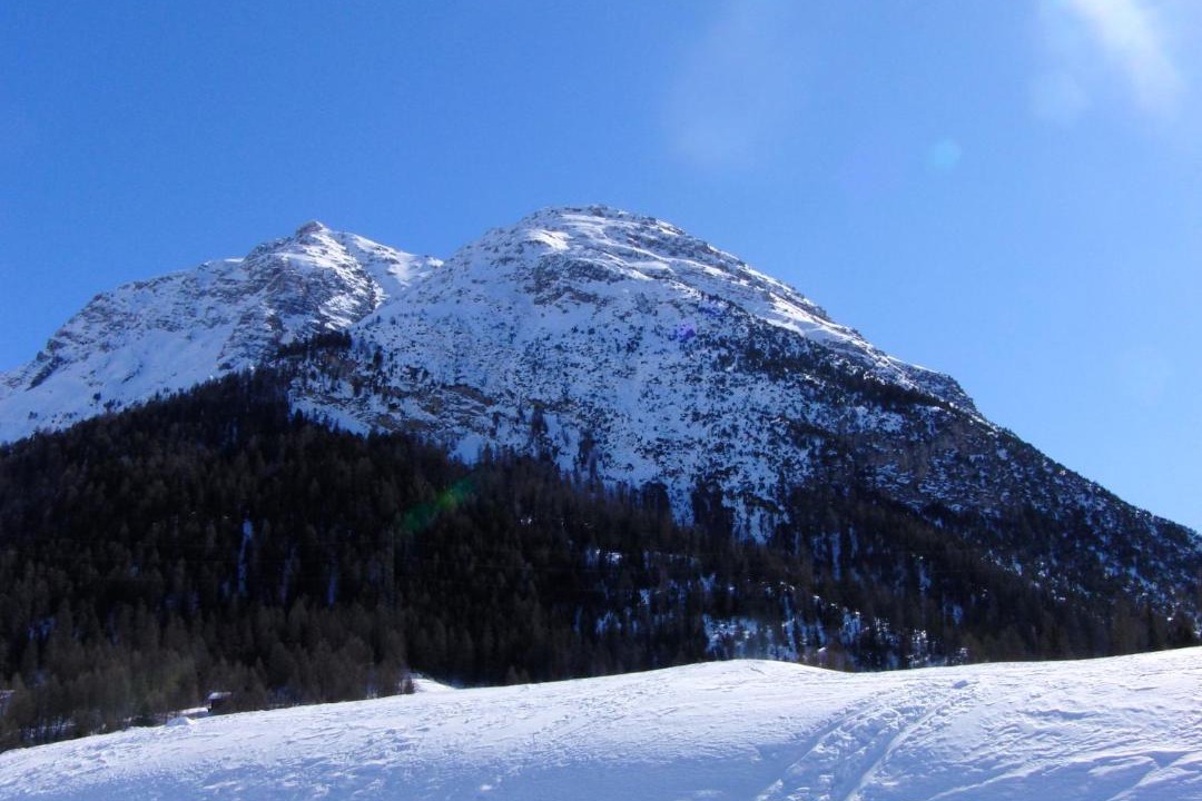 Photo of Others in La Punt-Chamues-ch