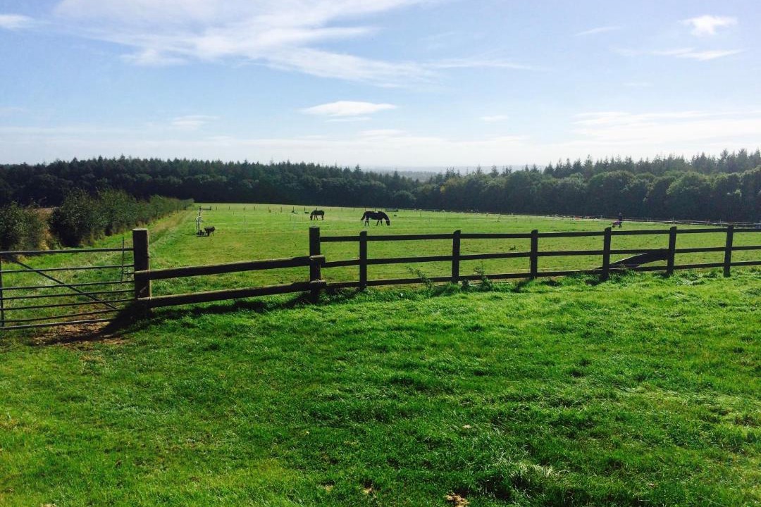 Photo of Others in Milton Abbas