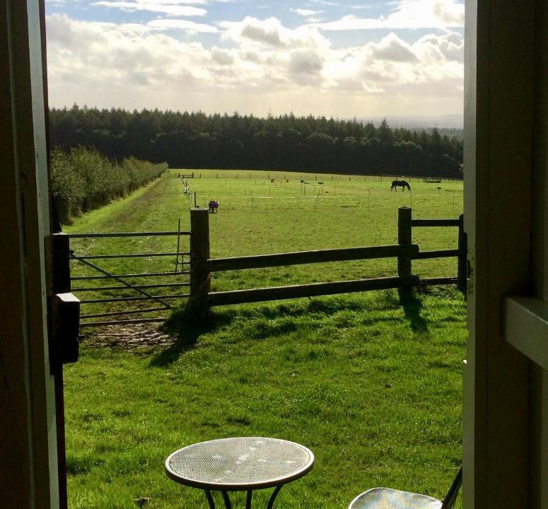 Photo of Patio Balcony in Milton Abbas