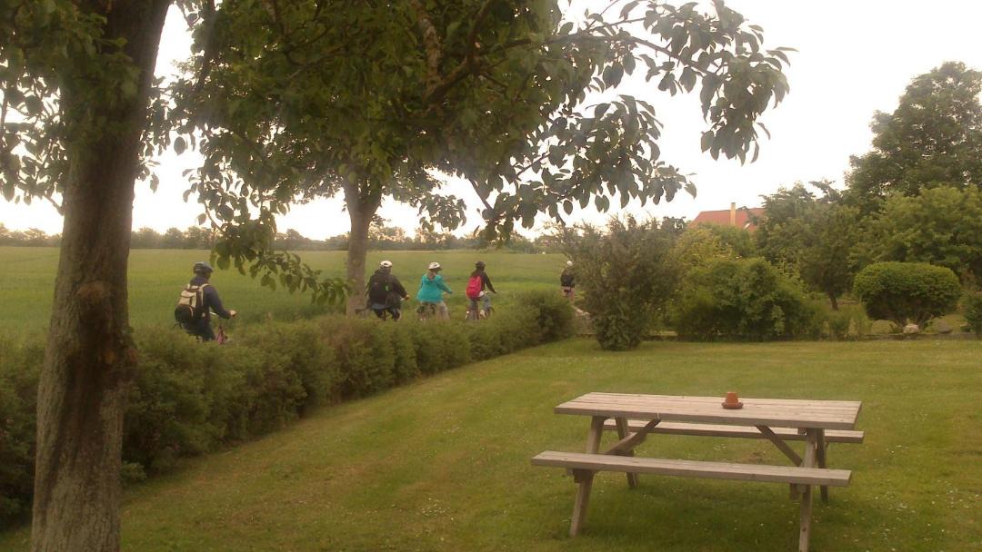 Photo of Others in Samsø