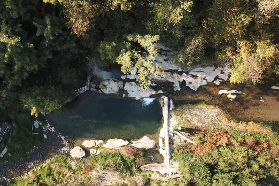 Photo of Others in Chantemerle-les-Bles