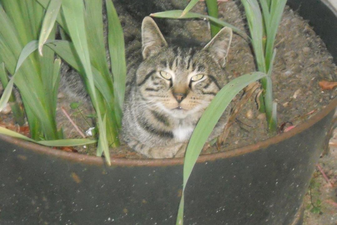 Photo of Outdoor in La Belliole