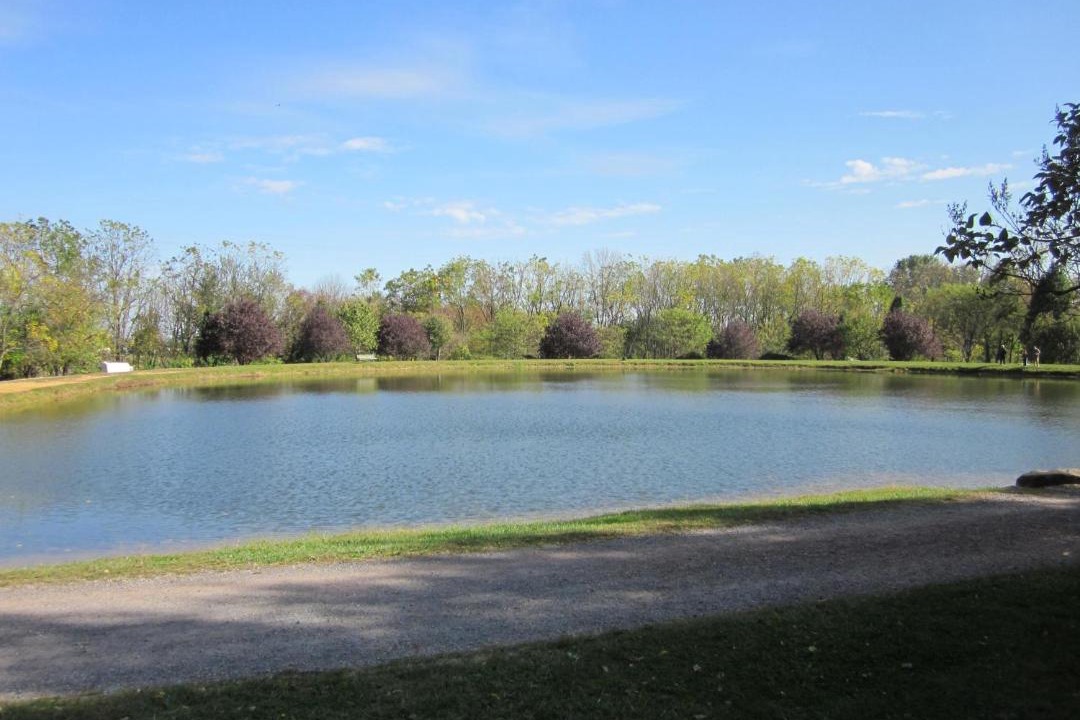 Photo of Others in Hamburg