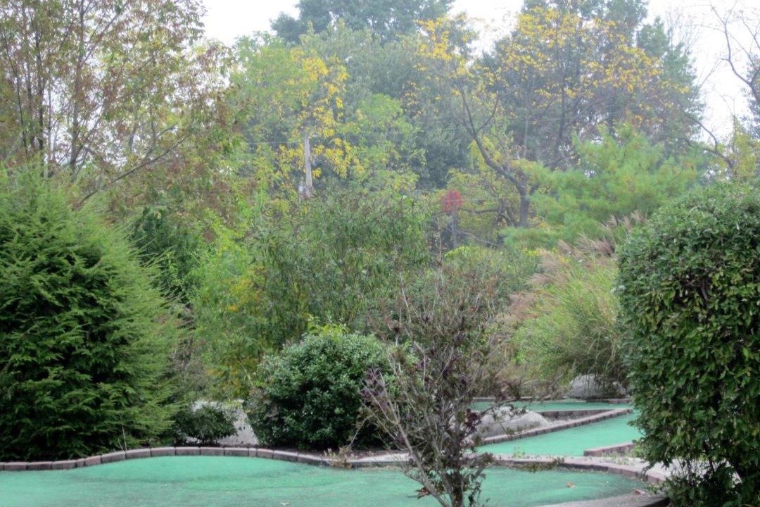 Photo of Others in Hamburg