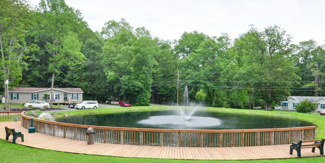 Photo of Others in Narvon