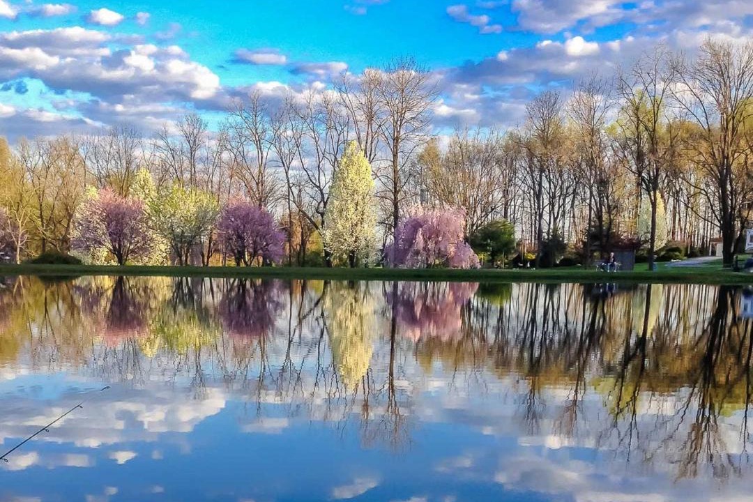Photo of Others in Hamburg