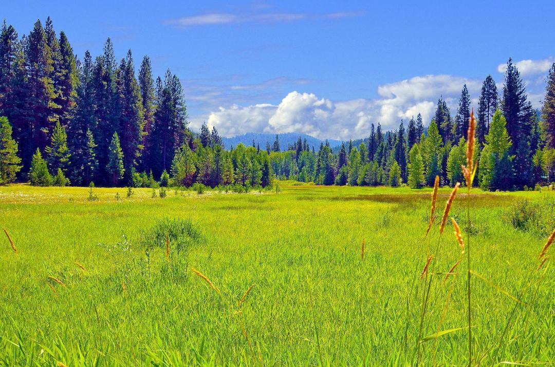 Photo of Others in Ardenvoir