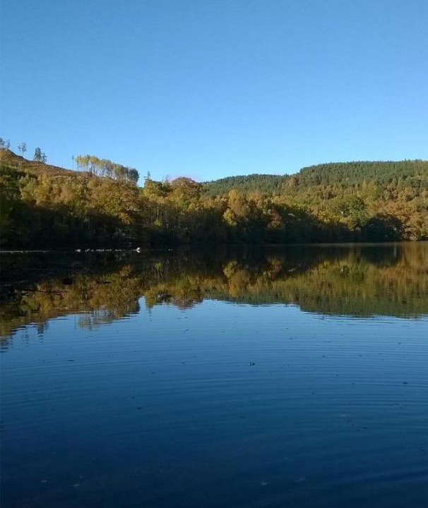 Photo of Others in Strathpeffer