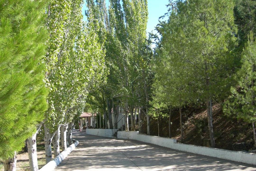 Photo of Others in Nuevalos