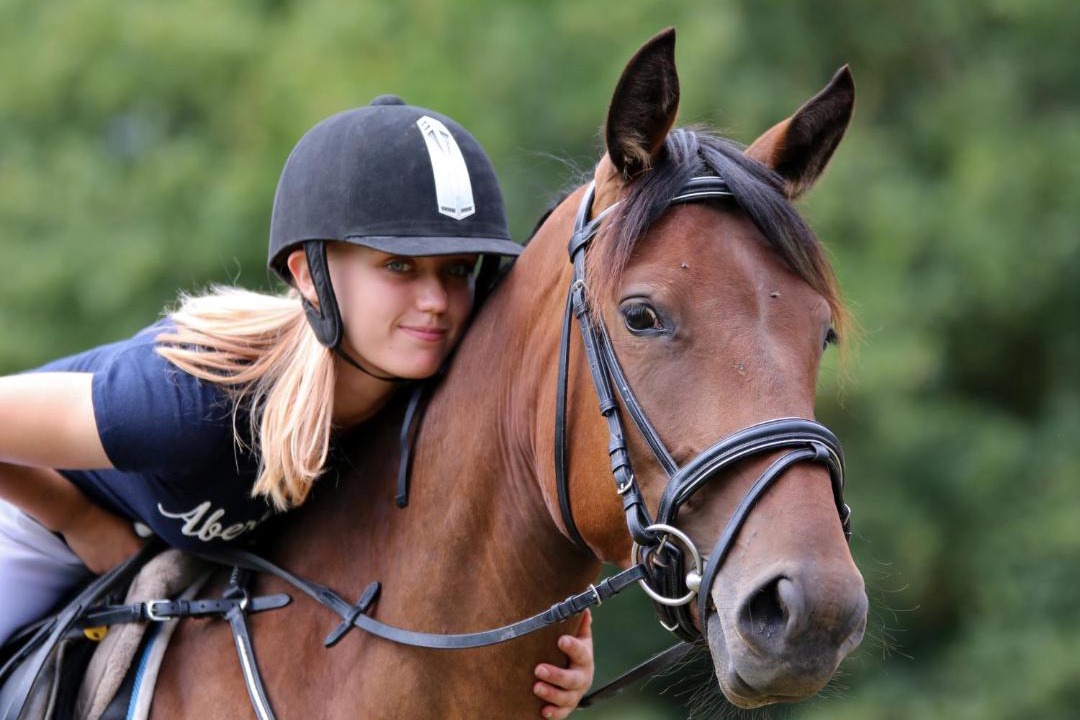 Photo of Others in Saint-Fargeau