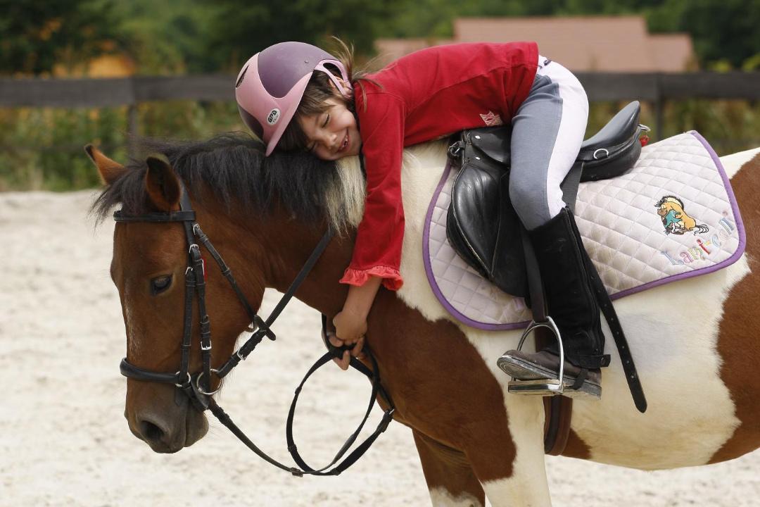 Photo of Others in Saint-Fargeau