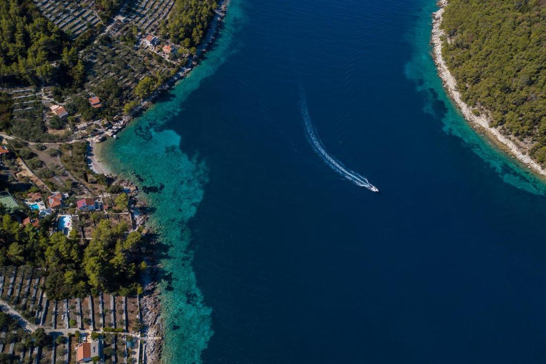 Photo of Others in Vela Luka