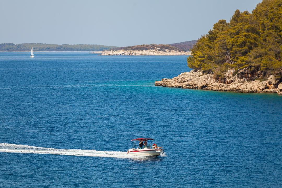 Photo of Others in Vela Luka