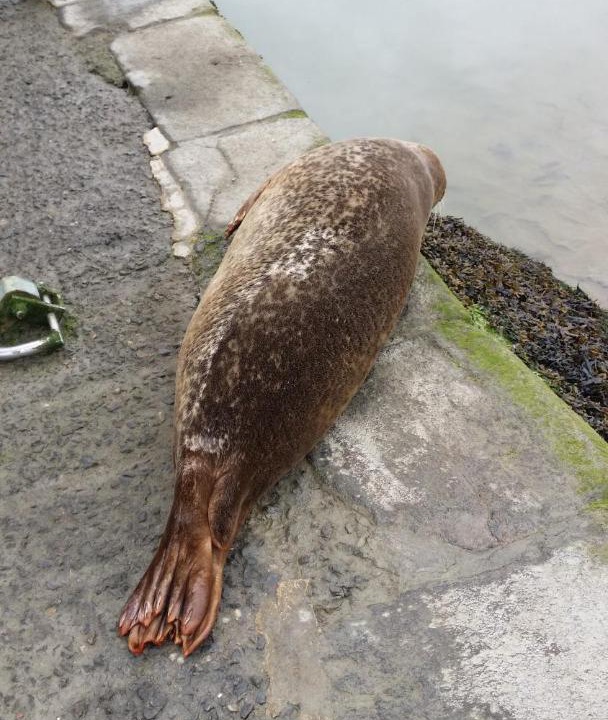 Photo of Others in Plouasne