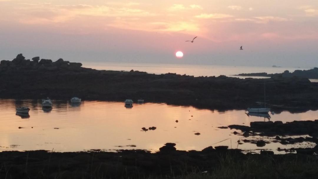 Photo of Outdoor in Plouasne