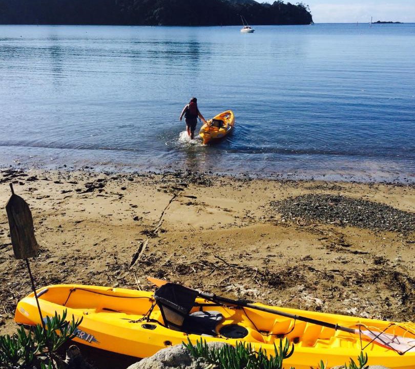 Photo of Others in Tutukaka