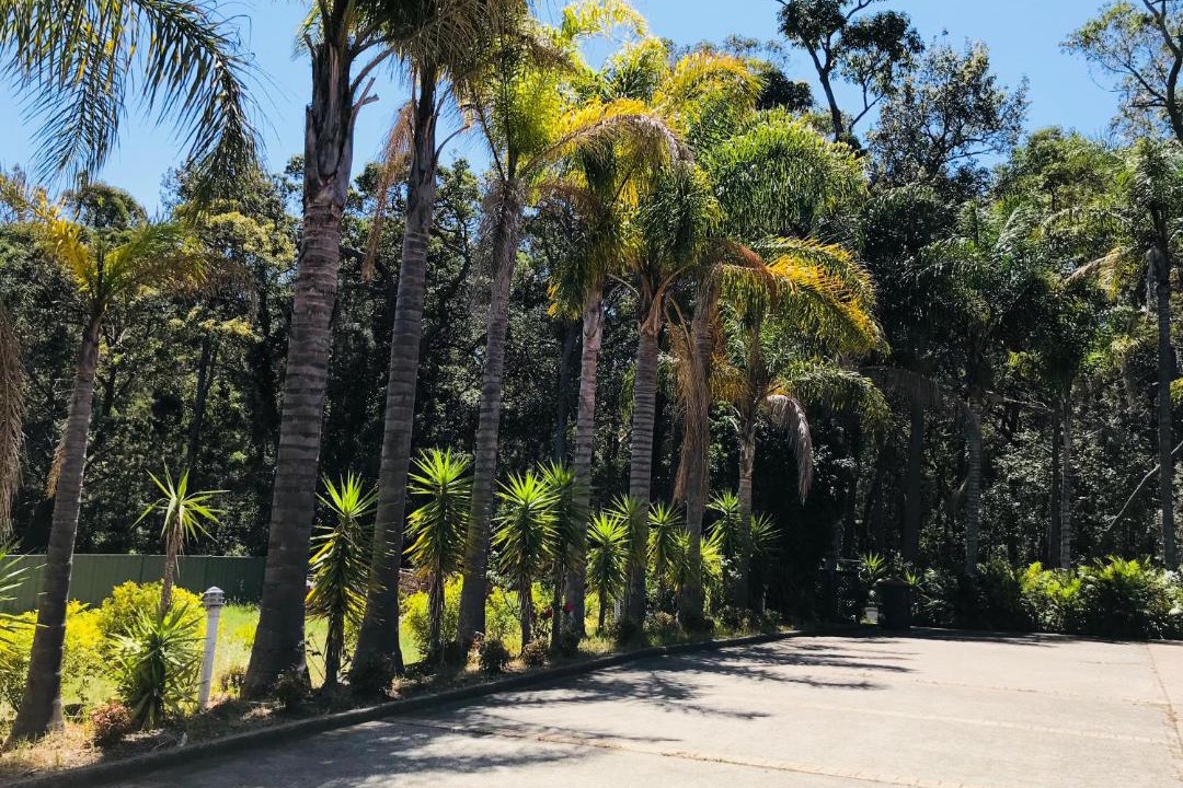 Photo of Others in Mollymook