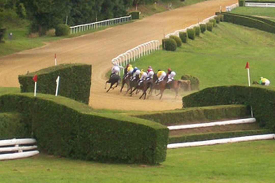 Photo of Others in Saint-Sornin-Lavolps