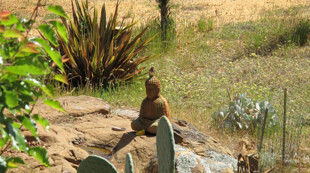 Photo of Others in Shepherds Flat