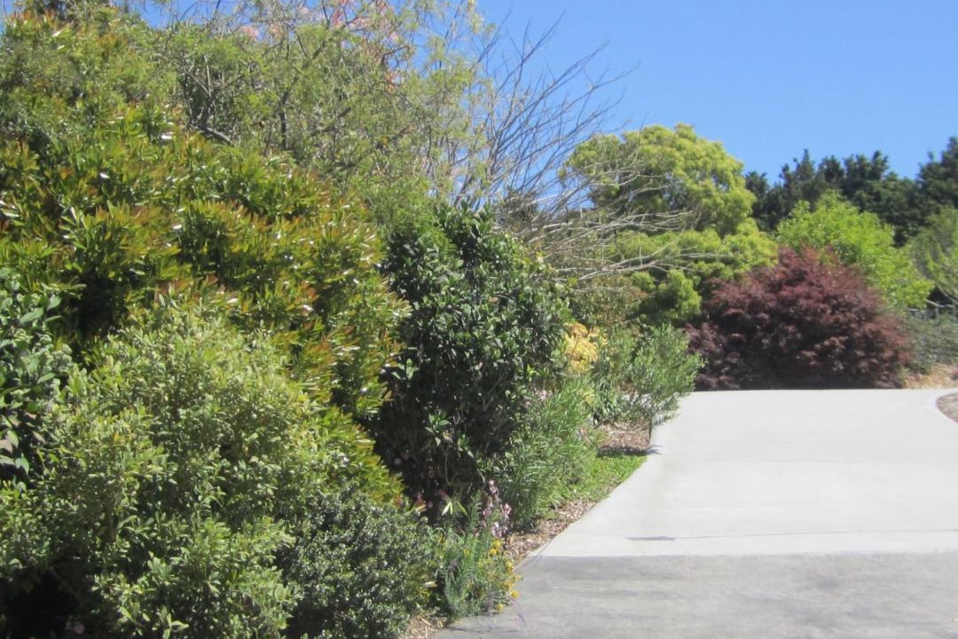 Photo of Others in Whangarei