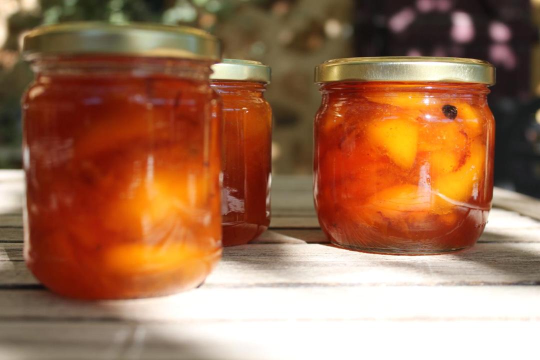 Photo of Others in Saint-Avit-Riviere